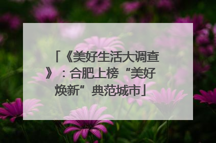 《美好生活大调查》：合肥上榜“美好焕新”典范城市