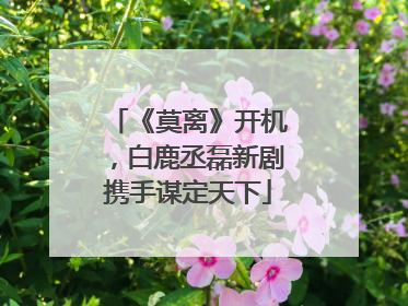 《莫离》开机，白鹿丞磊新剧携手谋定天下