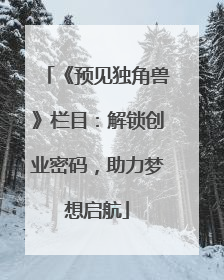 《预见独角兽》栏目：解锁创业密码，助力梦想启航