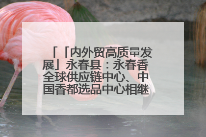 「内外贸高质量发展」永春县：永春香全球供应链中心、中国香都选品中心相继运营——一根香“点燃”百亿产业