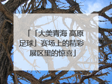 「大美青海 高原足球」赛场上的精彩 展区里的惊喜