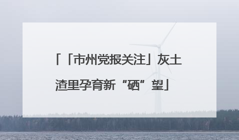 「市州党报关注」灰土渣里孕育新“硒”望