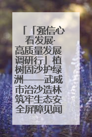 「强信心 看发展·高质量发展调研行」植树固沙护绿洲——武威市治沙造林筑牢生态安全屏障见闻