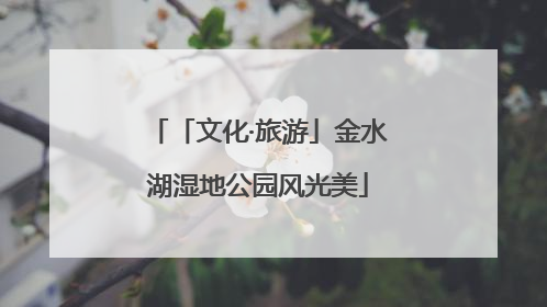 「文化·旅游」金水湖湿地公园风光美