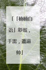 「楠楠自语」彩蛋，手雷，邋遢帅