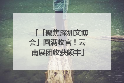 「聚焦深圳文博会」圆满收官！云南展团收获颇丰