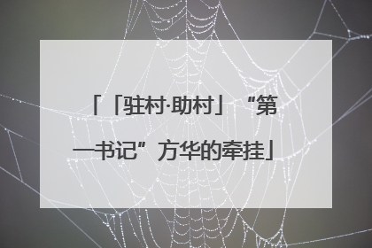 「驻村·助村」“第一书记”方华的牵挂