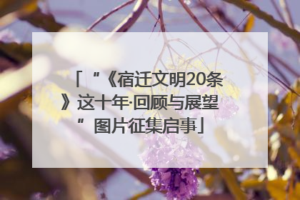 “《宿迁文明20条》这十年·回顾与展望”图片征集启事