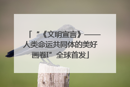 “《文明宣言》——人类命运共同体的美好画卷I”全球首发
