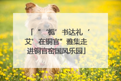 “‘栀’书达礼‘艾’在铜官”雅集走进铜官窑国风乐园