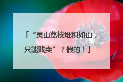 “灵山荔枝堆积如山，只能贱卖”？假的！