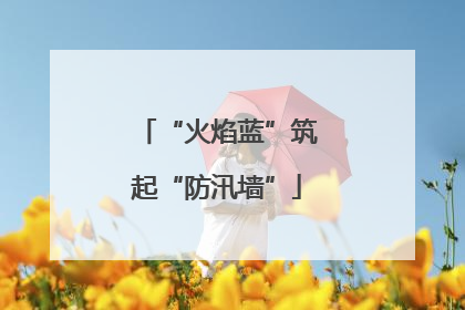 “火焰蓝”筑起“防汛墙”