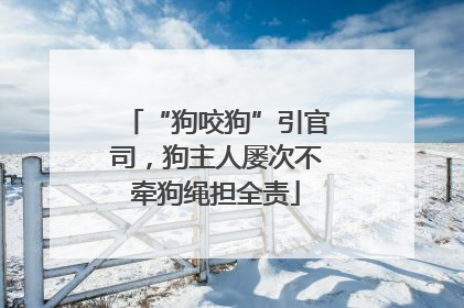 “狗咬狗”引官司，狗主人屡次不牵狗绳担全责