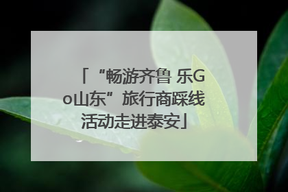“畅游齐鲁 乐Go山东”旅行商踩线活动走进泰安