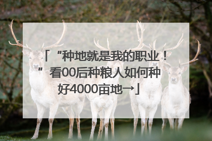 “种地就是我的职业！”看00后种粮人如何种好4000亩地→