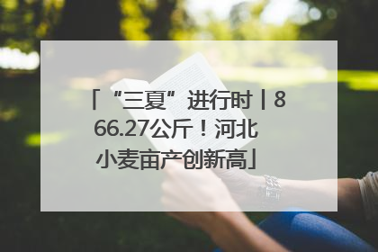 “三夏”进行时丨866.27公斤！河北小麦亩产创新高