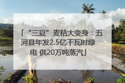 “三夏”麦秸大变身：五河县年发2.5亿千瓦时绿电 供20万吨蒸汽