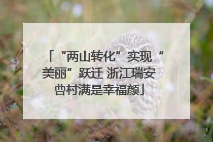 “两山转化”实现“美丽”跃迁 浙江瑞安曹村满是幸福颜