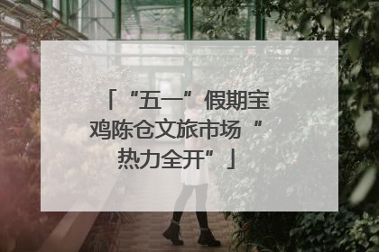 “五一”假期宝鸡陈仓文旅市场“热力全开”
