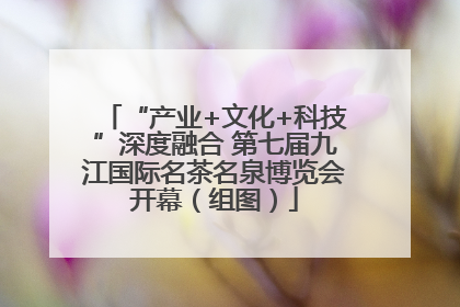 “产业+文化+科技”深度融合 第七届九江国际名茶名泉博览会开幕（组图）