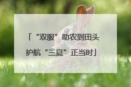 “双服”助农到田头 护航“三夏”正当时