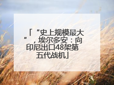“史上规模最大”，埃尔多安：向印尼出口48架第五代战机