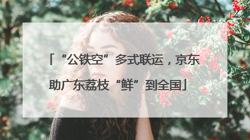 “公铁空”多式联运，京东助广东荔枝“鲜”到全国