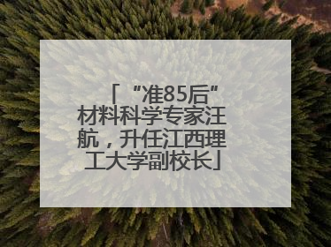“准85后”材料科学专家汪航，升任江西理工大学副校长