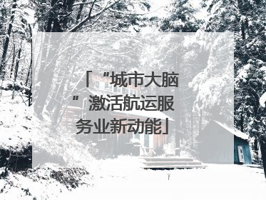 “城市大脑”激活航运服务业新动能