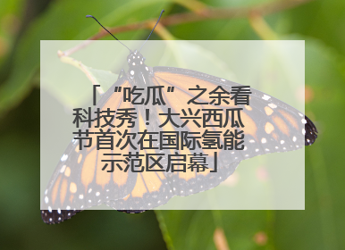 “吃瓜”之余看科技秀！大兴西瓜节首次在国际氢能示范区启幕