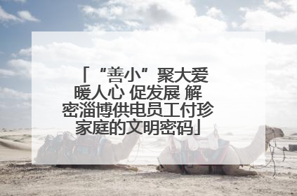 “善小”聚大爱 暖人心 促发展 解密淄博供电员工付珍家庭的文明密码