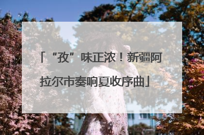 “孜”味正浓！新疆阿拉尔市奏响夏收序曲