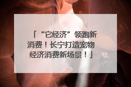 “它经济”领跑新消费！长宁打造宠物经济消费新场景！