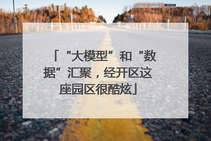 “大模型”和“数据”汇聚，经开区这座园区很酷炫