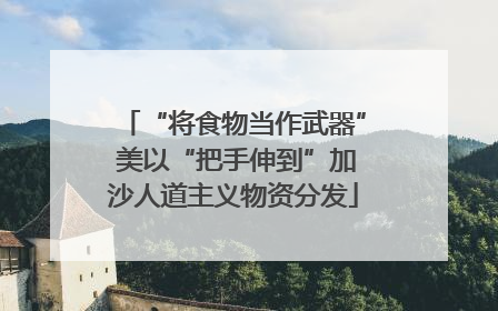 “将食物当作武器” 美以“把手伸到”加沙人道主义物资分发