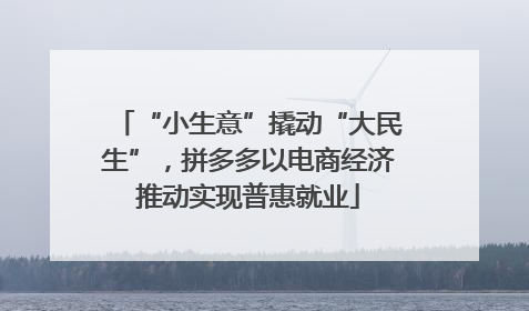 “小生意”撬动“大民生”，拼多多以电商经济推动实现普惠就业