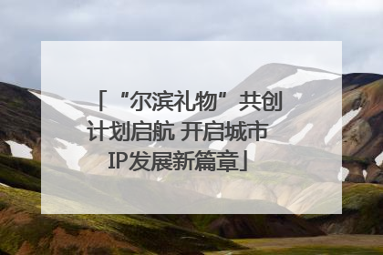 “尔滨礼物”共创计划启航 开启城市IP发展新篇章