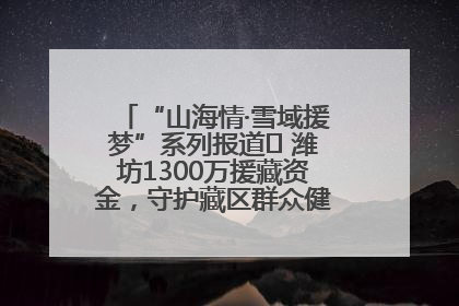 “山海情·雪域援梦”系列报道⑪ 潍坊1300万援藏资金，守护藏区群众健康“最后一公里”