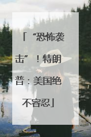 “恐怖袭击”！特朗普：美国绝不容忍