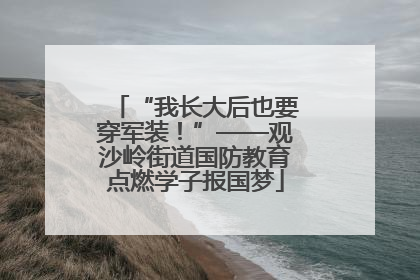 “我长大后也要穿军装！”——观沙岭街道国防教育点燃学子报国梦