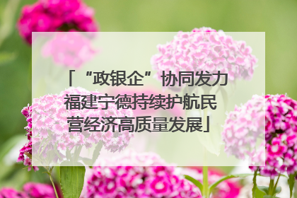“政银企”协同发力 福建宁德持续护航民营经济高质量发展
