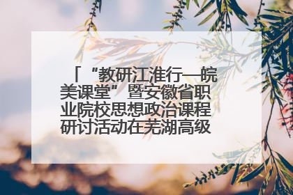 “教研江淮行—皖美课堂”暨安徽省职业院校思想政治课程研讨活动在芜湖高级职业技术学校举行
