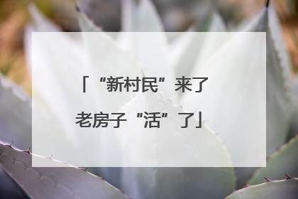 “新村民”来了 老房子“活”了