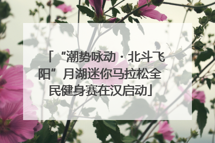 “潮势咏动・北斗飞阳”月湖迷你马拉松全民健身赛在汉启动