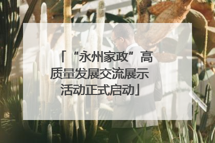 “永州家政”高质量发展交流展示活动正式启动