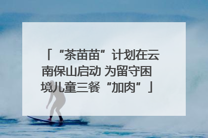 “茶苗苗”计划在云南保山启动 为留守困境儿童三餐“加肉”