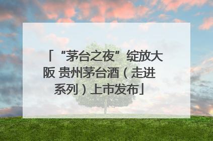 “茅台之夜”绽放大阪 贵州茅台酒（走进系列）上市发布
