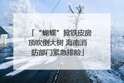 “蝴蝶”掀铁皮房顶吹倒大树 海南消防部门紧急排险