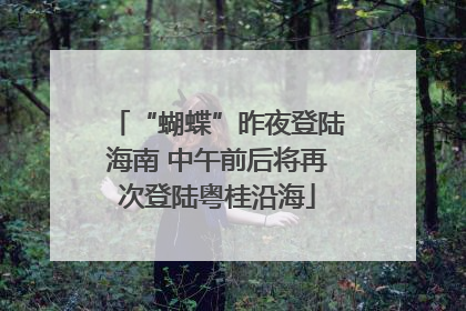 “蝴蝶”昨夜登陆海南 中午前后将再次登陆粤桂沿海