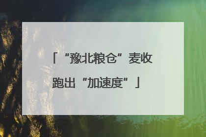 “豫北粮仓”麦收跑出“加速度”